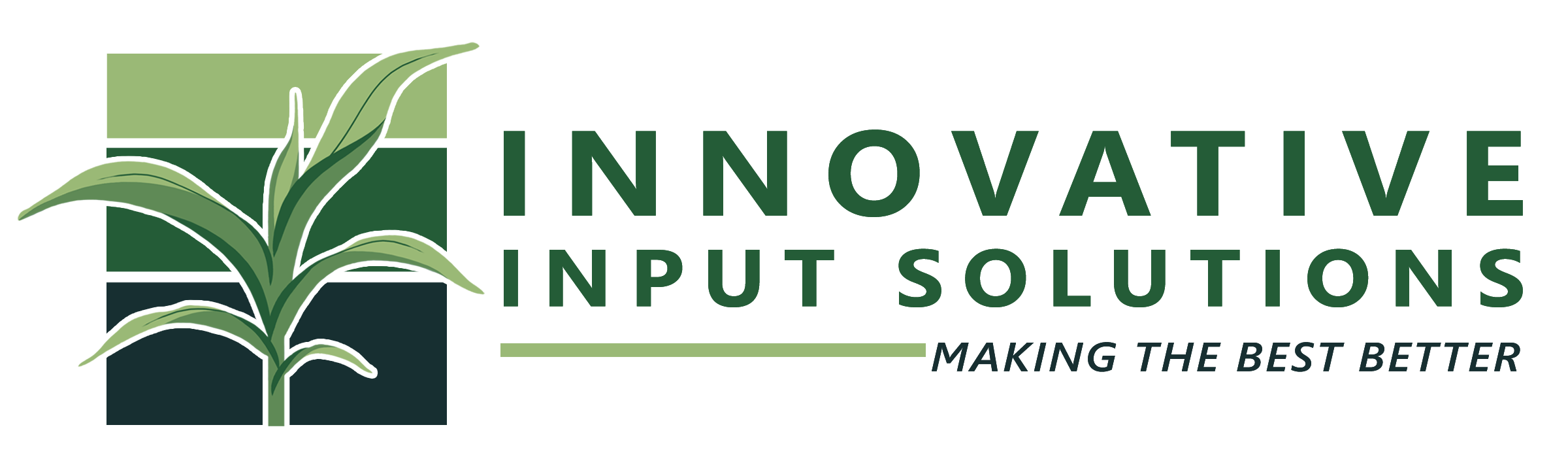 Innovative Input Solutions