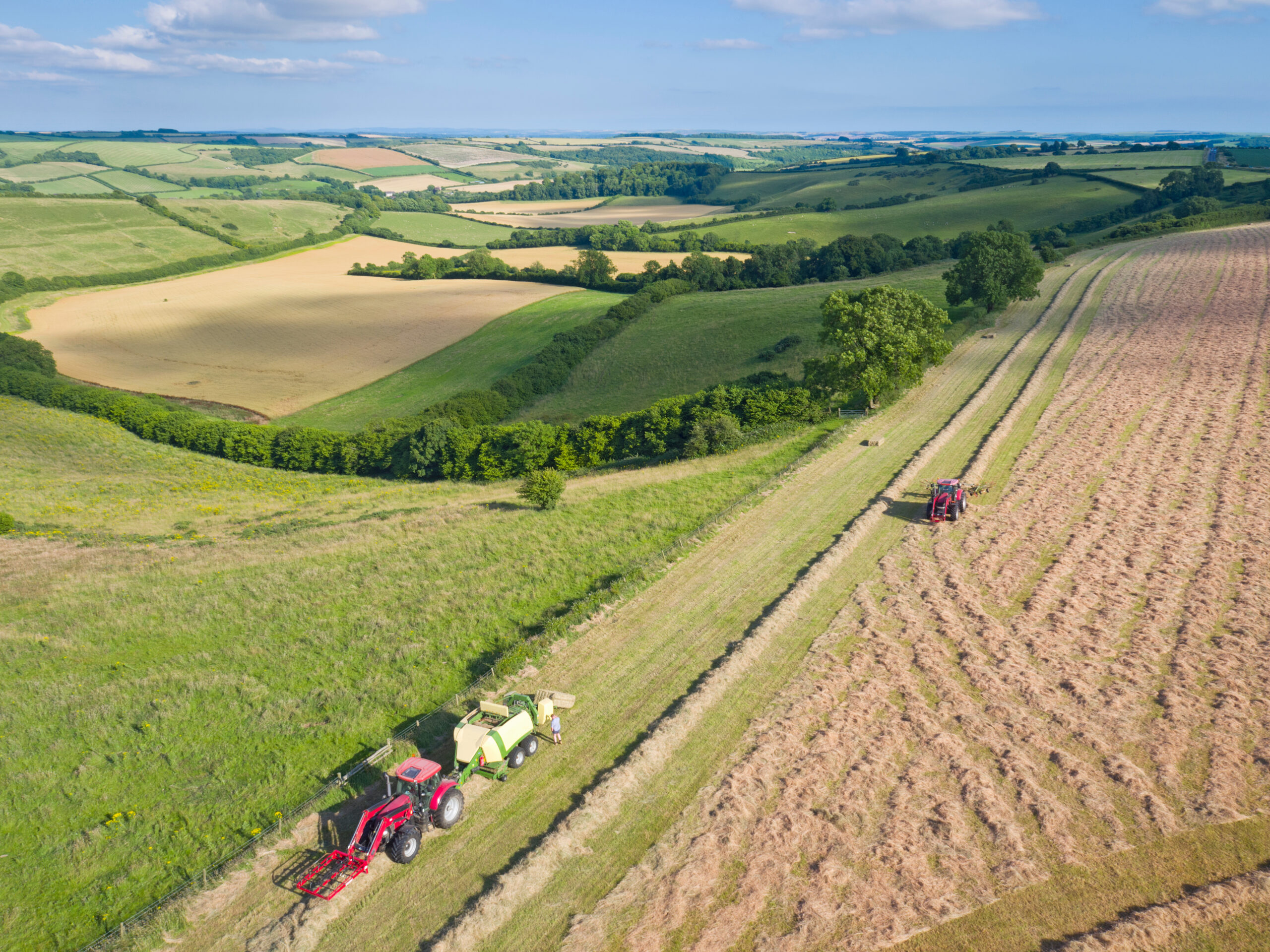 What Your Crop Residue Is Telling You About Disease Risk